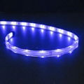 Waterproof light SMD 5050 flexible LED strip light 1