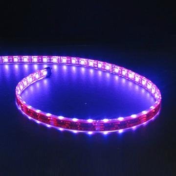 Brightness light SMD 5050 RGB strip LED