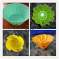 cake mold 5