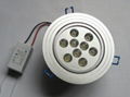 9W LED Ceiling Light