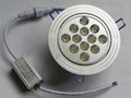 12W LED Ceiling Light 1