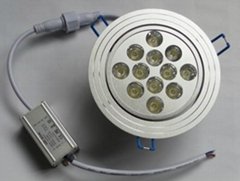 12W LED Ceiling Light