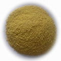 Soy Lecithin Powder 1