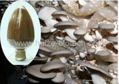 pleurotus ostreatus polysaccharides