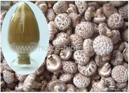 lentinus edodes (shiitake mushroom) polysaccharides