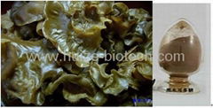 Auricularia auricula-judae polysaccharides