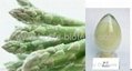 Asparagus Rutin 1