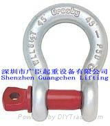 CREW PIN ANCHOR SHACKLES