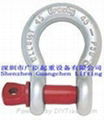 CREW PIN ANCHOR SHACKLES