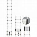 Telescopic ladder