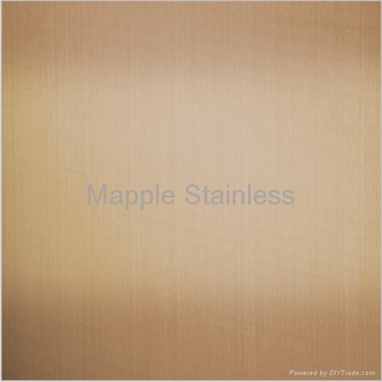 Stainless Steel Titanium coated finish Sheets