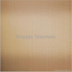 Stainless Steel Titanium coated finish Sheets