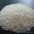 Thai Rice 1