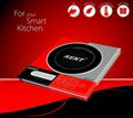 INDUCTION COOKER