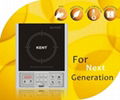INDUCTION COOKER 1