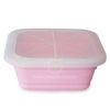 Silicone lunch box