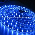 LED flexible strip 1