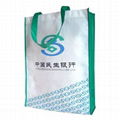 Non-woven bag 1