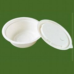 biodegrable disposable bowls