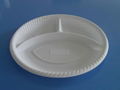 biodegradable disposable plates 2