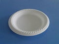 biodegradable disposable plates 1