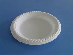 biodegradable disposable plates