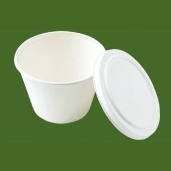 biodegrable disposable bowls with lid