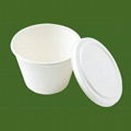 biodegrable disposable bowls with lid 1