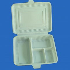 biodegradable disposable meal box