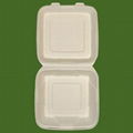 biodegradable disposable meal box 3