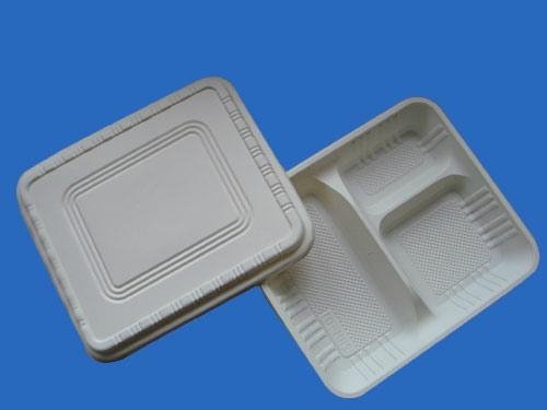 biodegradable disposable lunch box