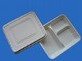 biodegradable disposable lunch box 1