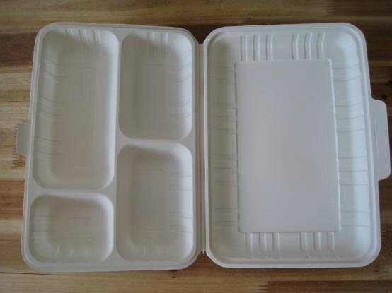 biodegradable disposable lunch box 3