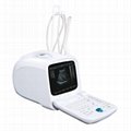 Digital Ultrasound Scanner(BW600)