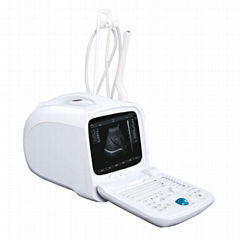 Digital Ultrasound Scanner(BW600)  