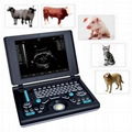 Digital Laptop Veterinary Ultrasound