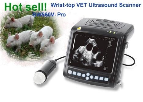 Digital Wrist-top Veterinary Ultrasound Scanner(BW560V-Pro) 