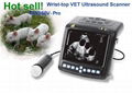 Digital Wrist-top Veterinary Ultrasound