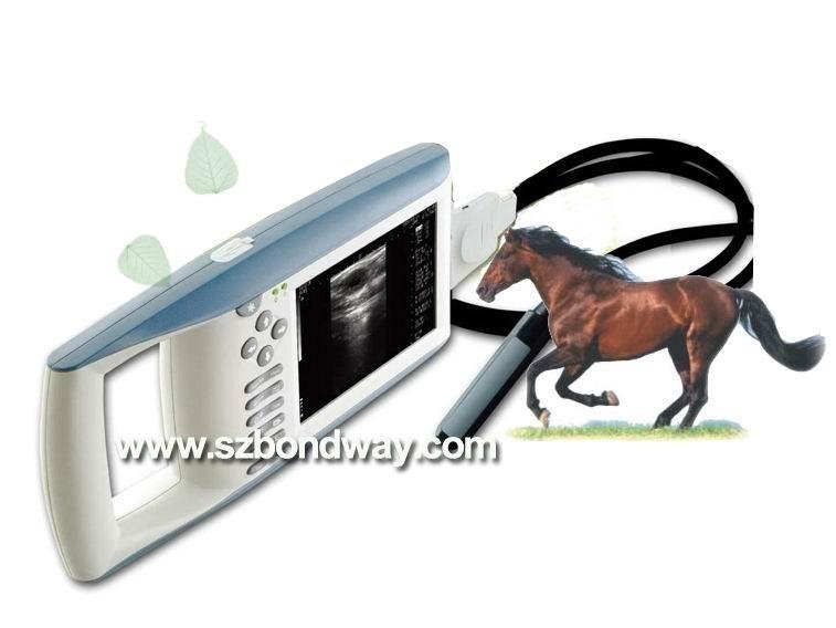 Digital Palmtop Vet Ultrasound Scanner(BW520V)