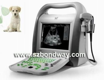 Digital Veterinary Ultrasound Scanner(BW550V)   1