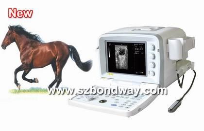 Digital Veterinary Ultrasound Scanner(BW510V) 