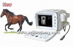Digital Veterinary Ultrasound