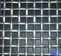 square wire mesh