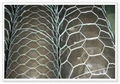 Hexagonal Wire Netting 4