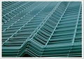 Welded Wire Mesh