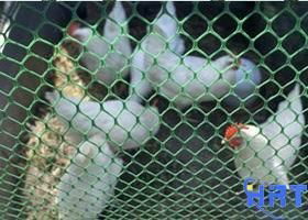 Plastic Flat Wire Mesh