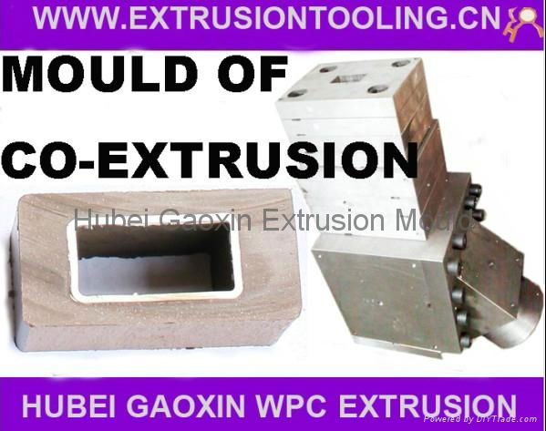 WPC wood plastic composite co-extrusion mould