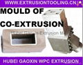 WPC wood plastic composite co-extrusion mould