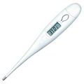 Digital thermometer