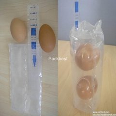 Protective Inflatable Air bag in bag packaging